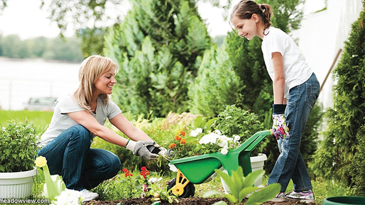 Detail Gambar Orang Berkebun Nomer 21