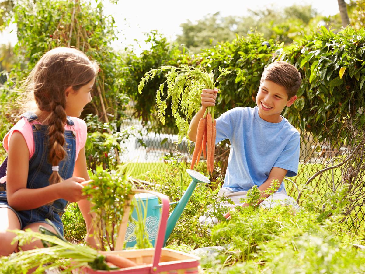 Detail Gambar Orang Berkebun Nomer 28