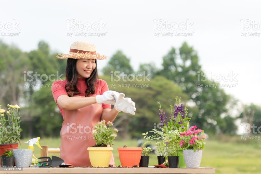 Detail Gambar Orang Berkebun Nomer 31