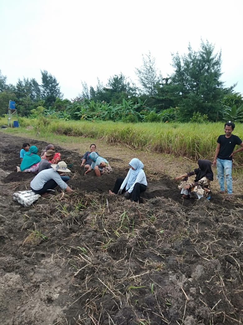 Detail Gambar Orang Berkebun Nomer 35