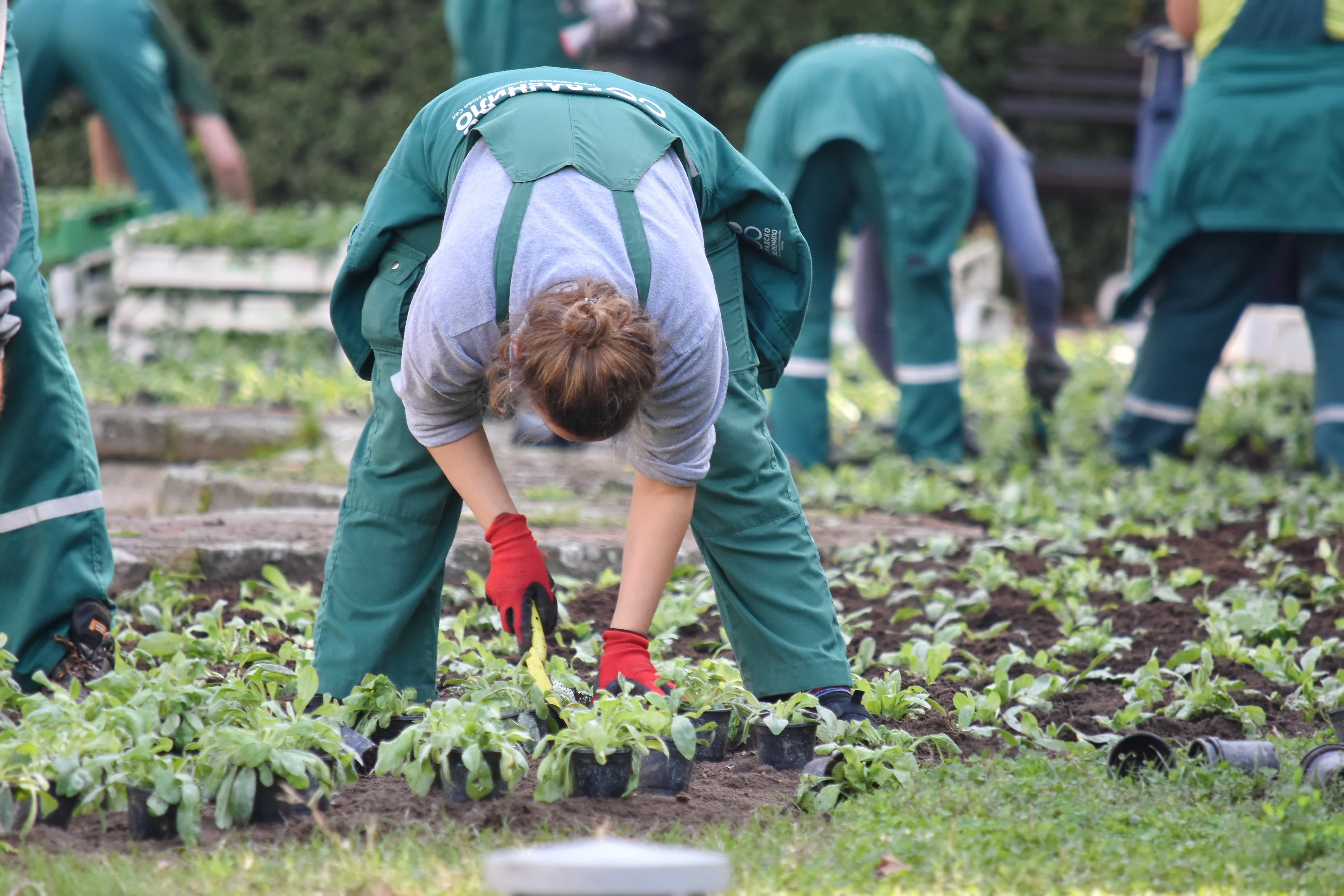 Download Gambar Orang Berkebun Nomer 39