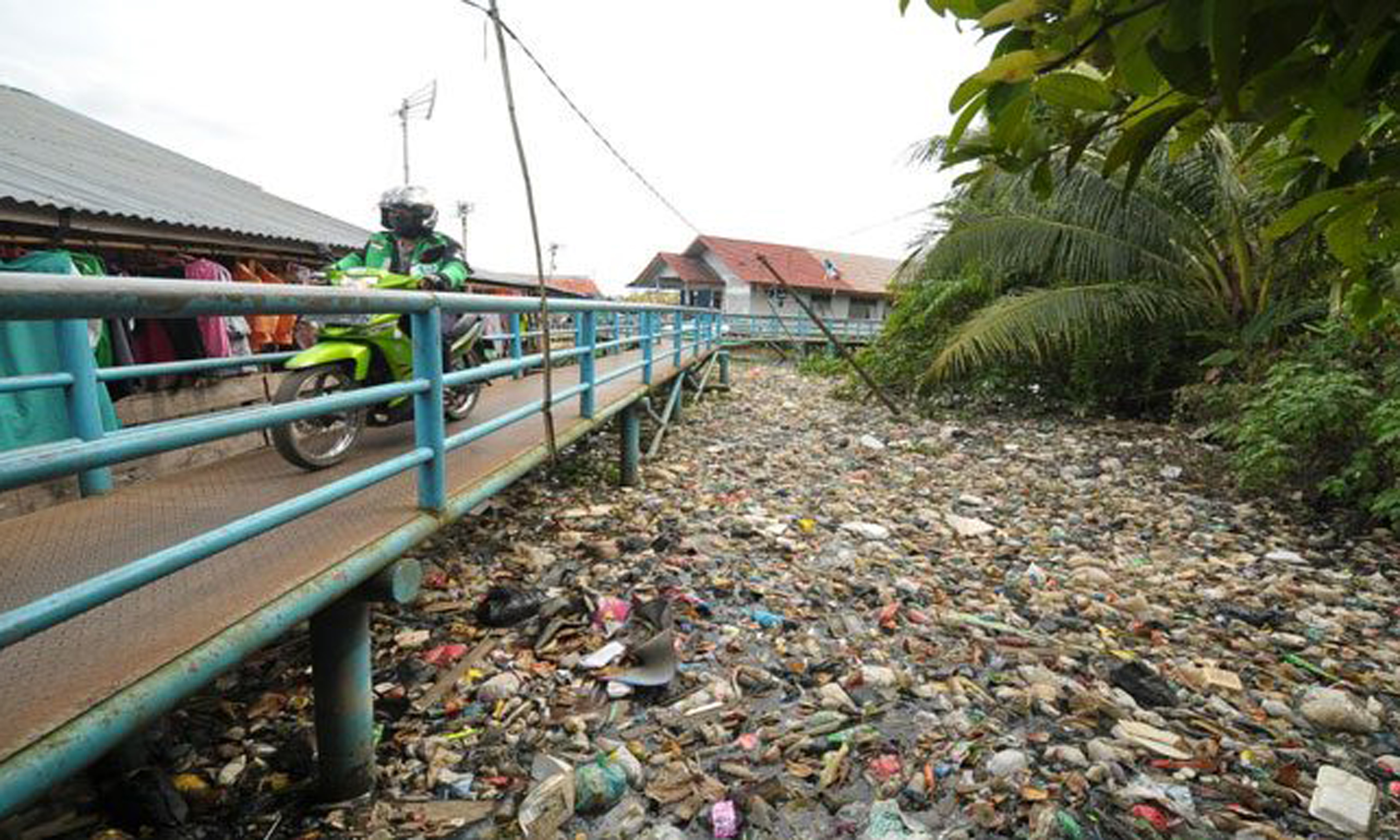 Detail Gambar Orang Buang Sampah Di Sungai Nomer 28