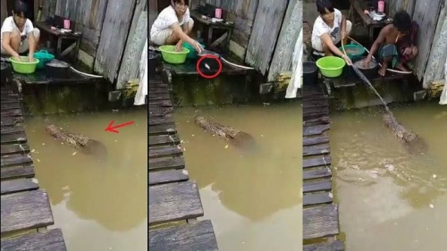 Detail Gambar Orang Cuci Makanan Di Sungai Nomer 2