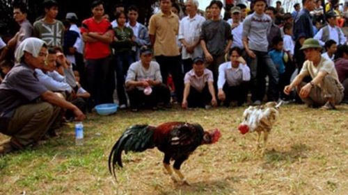 Detail Gambar Orang Dan Ayam Nomer 26