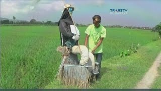 Detail Gambar Orang Di Sawah Nomer 11