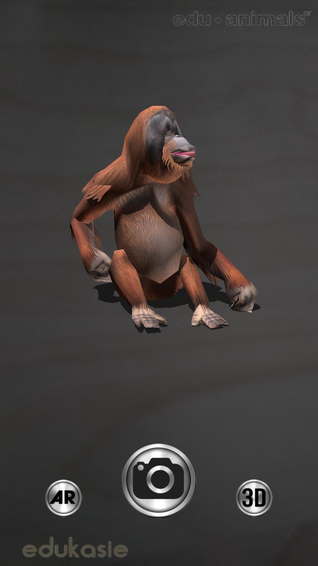 Detail Gambar Orang Hidup Didataran Tinggi Animasi Gambar Primata Animasi Nomer 20