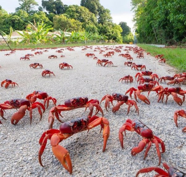 Detail Gambar Orang Iri Dengan Tetangga Gambar Saingan Rumah Nomer 24