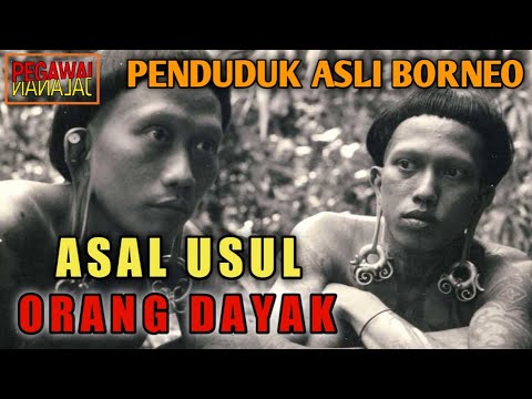 Detail Gambar Orang Kalimantan Nomer 31