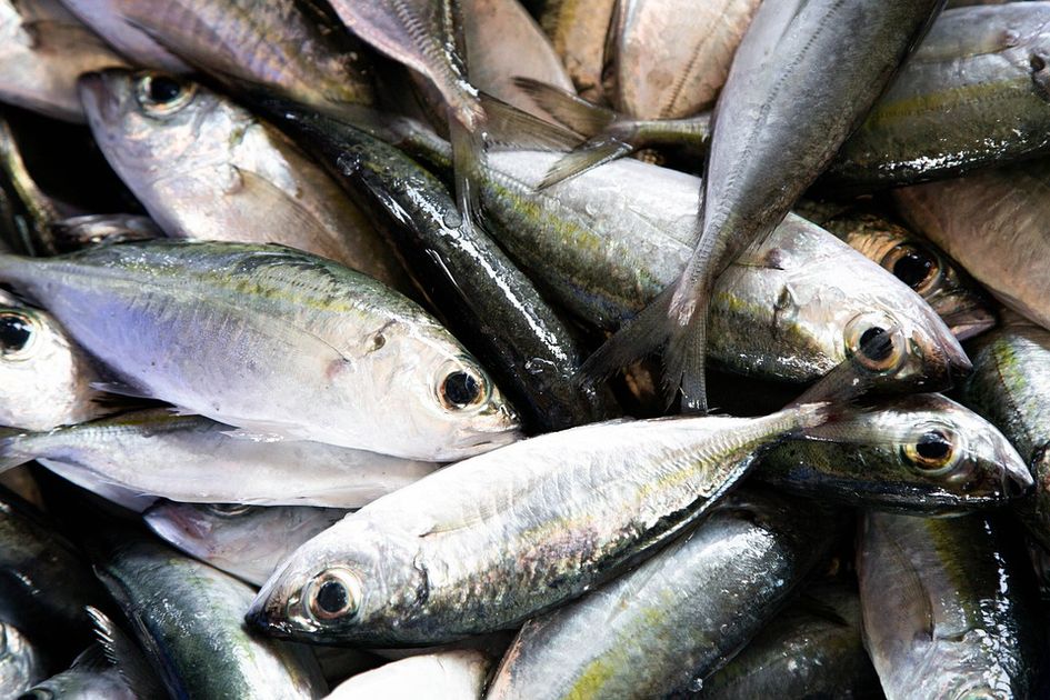 Detail Gambar Orang Makan Ikan Nomer 32