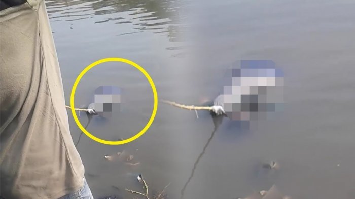 Detail Gambar Orang Mancing Dapat Ikan Besar Nomer 35