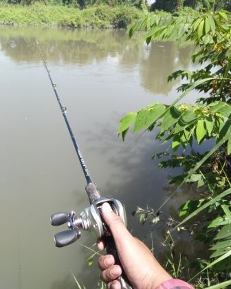 Detail Gambar Orang Mancing Di Kolam Nomer 23