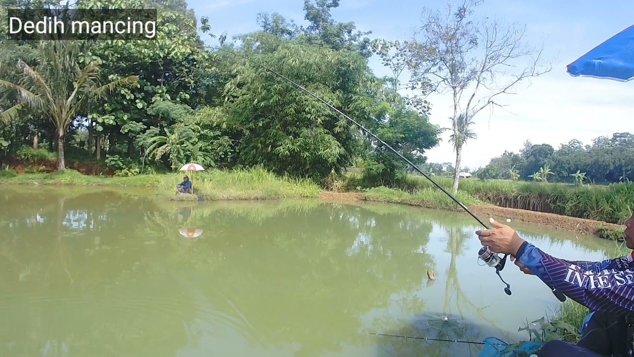 Detail Gambar Orang Mancing Di Kolam Nomer 24