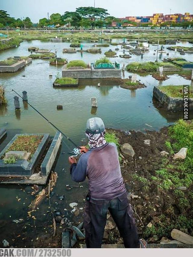 Detail Gambar Orang Mancing Lucu Nomer 15