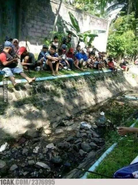 Detail Gambar Orang Mancing Lucu Nomer 16