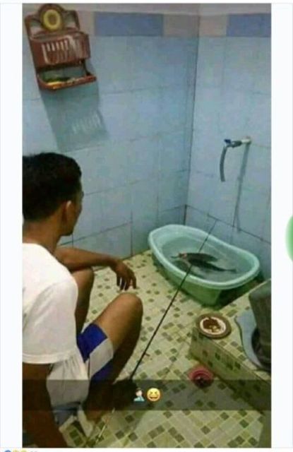 Detail Gambar Orang Mancing Lucu Nomer 30