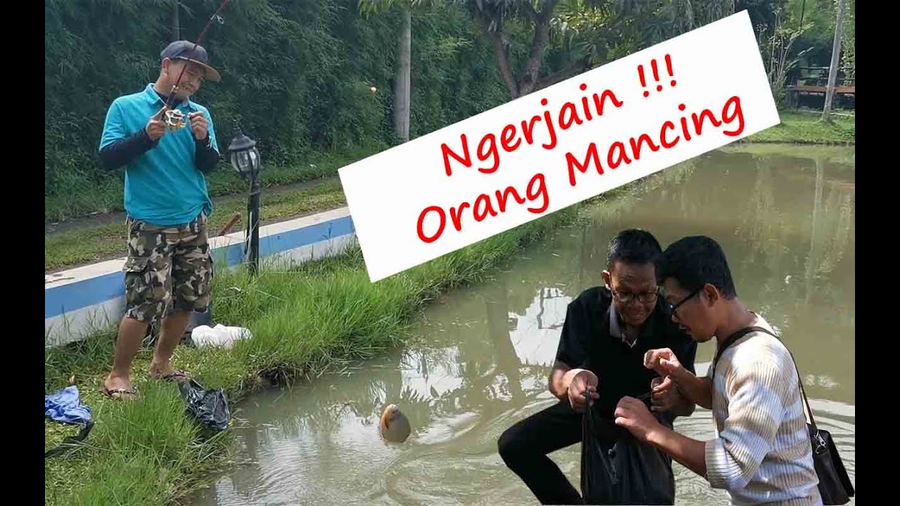 Detail Gambar Orang Mancing Lucu Nomer 42