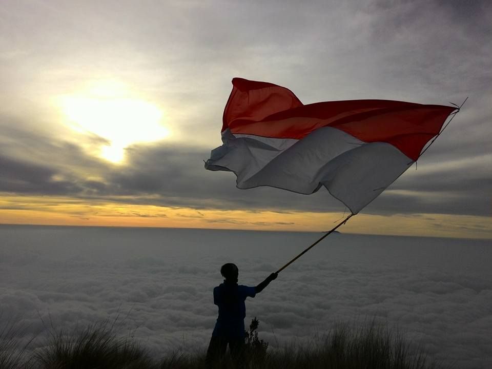 Detail Gambar Orang Megang Bendera Nomer 41