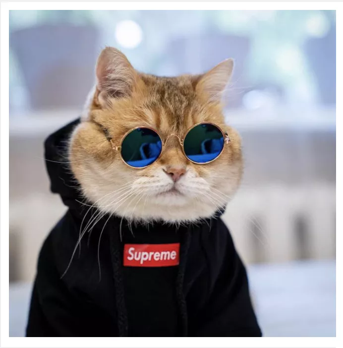 Detail Gambar Orang Memakai Baju Supreme Nomer 9