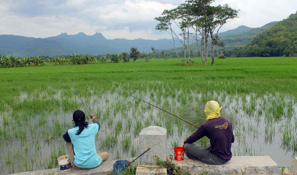 Detail Gambar Orang Memancing Ikan Nomer 43