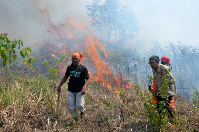 Detail Gambar Orang Membakar Hutan Nomer 10