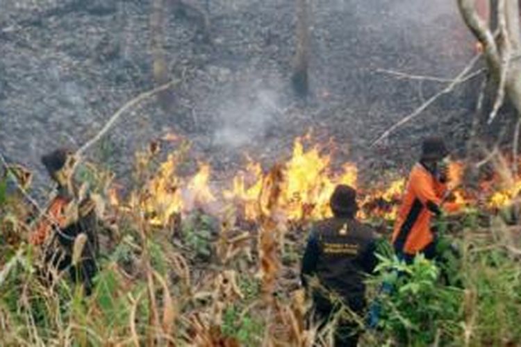 Detail Gambar Orang Membakar Hutan Nomer 11