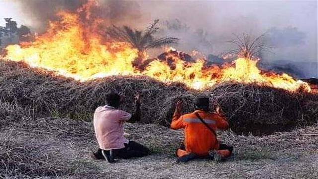 Detail Gambar Orang Membakar Hutan Nomer 36