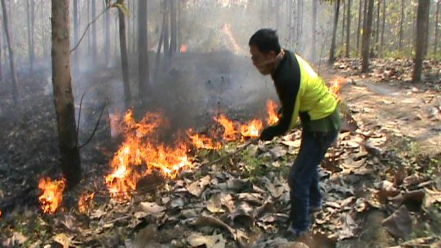 Detail Gambar Orang Membakar Hutan Nomer 5