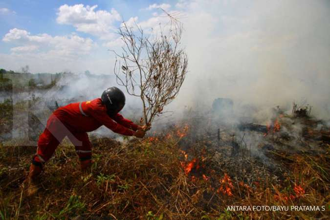 Detail Gambar Orang Membakar Hutan Nomer 38