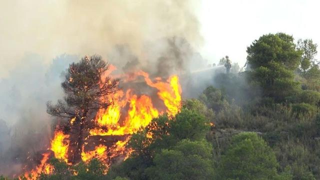 Detail Gambar Orang Membakar Hutan Nomer 44