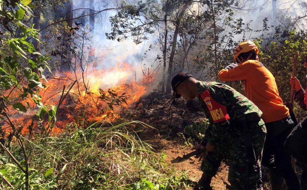 Detail Gambar Orang Membakar Hutan Nomer 45