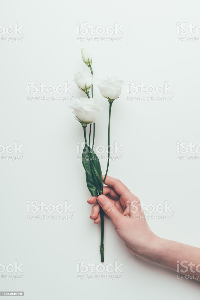 Detail Gambar Orang Memegang Bunga Nomer 52