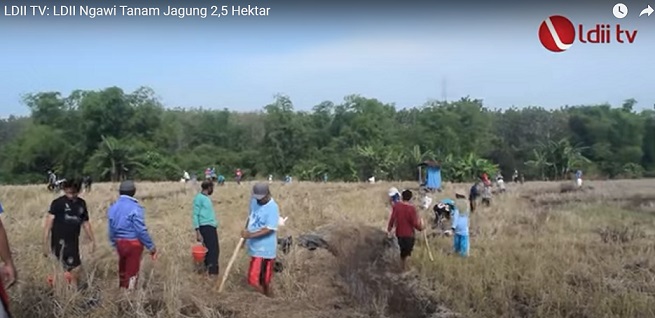 Detail Gambar Orang Menanam Jagung Nomer 48