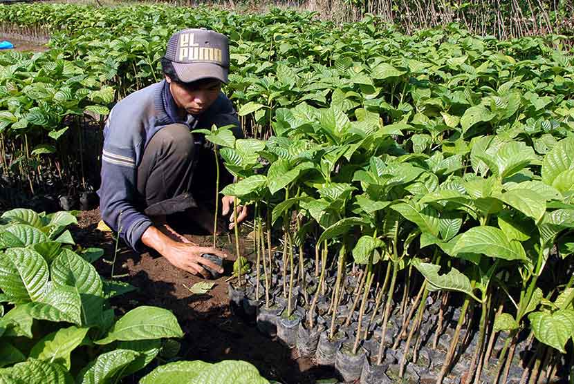 Detail Gambar Orang Menanam Pohon Nomer 40