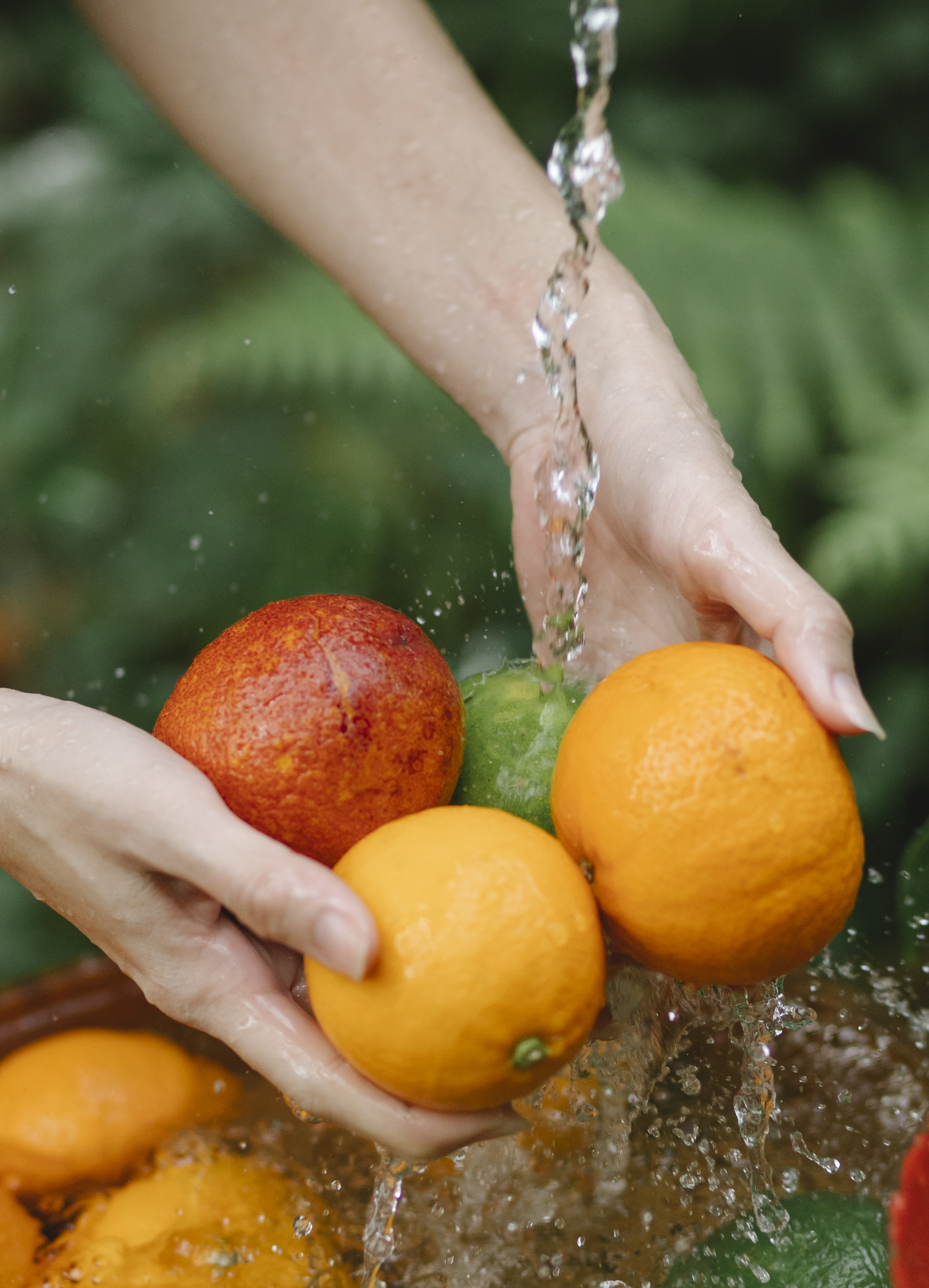 Detail Gambar Orang Mencuci Buah Jeruk Nomer 5