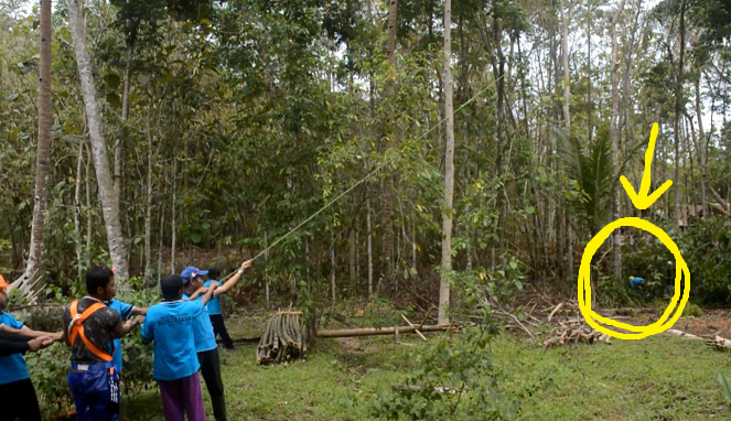 Detail Gambar Orang Menebang Hutan Nomer 17