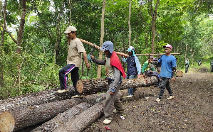 Detail Gambar Orang Menebang Hutan Nomer 25