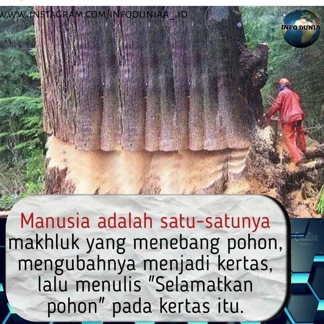 Detail Gambar Orang Menebang Hutan Nomer 52