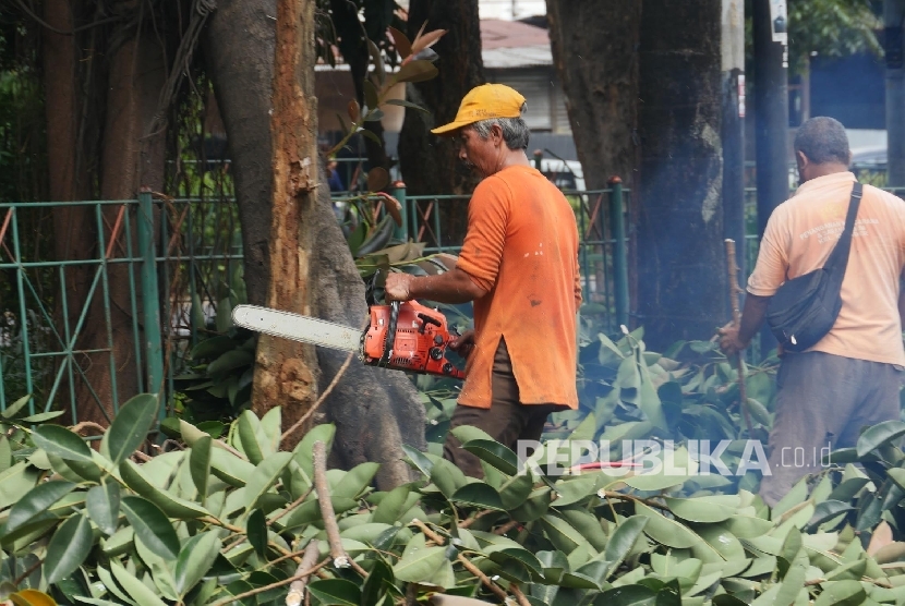 Detail Gambar Orang Menebang Pohon Penebang Pohon Nomer 10