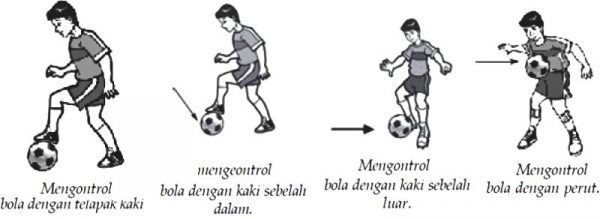 Detail Gambar Orang Menghentikan Bola Dengan Perut Nomer 15