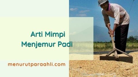 Detail Gambar Orang Menjemur Padi Nomer 53