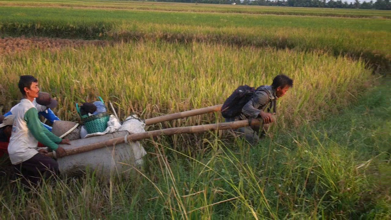 Detail Gambar Orang Pekerja Keras Nomer 25