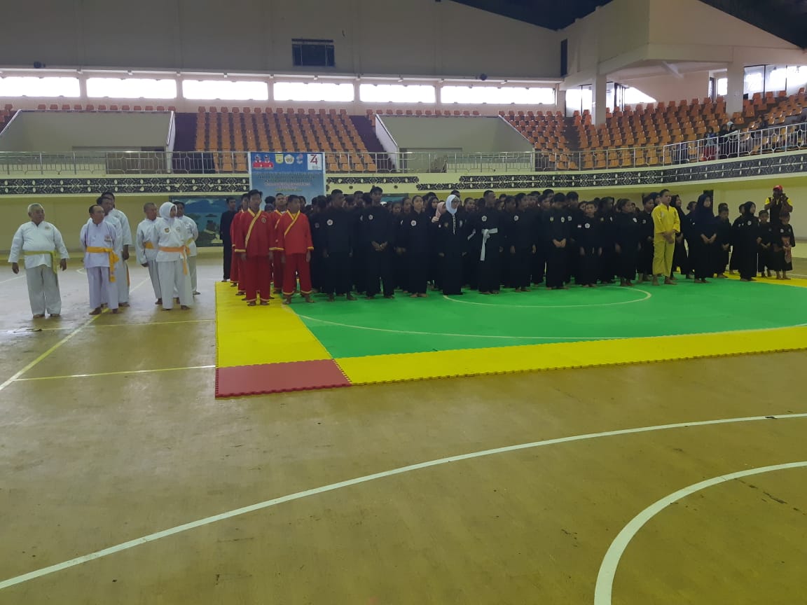 Detail Gambar Orang Pencak Silat Nomer 42