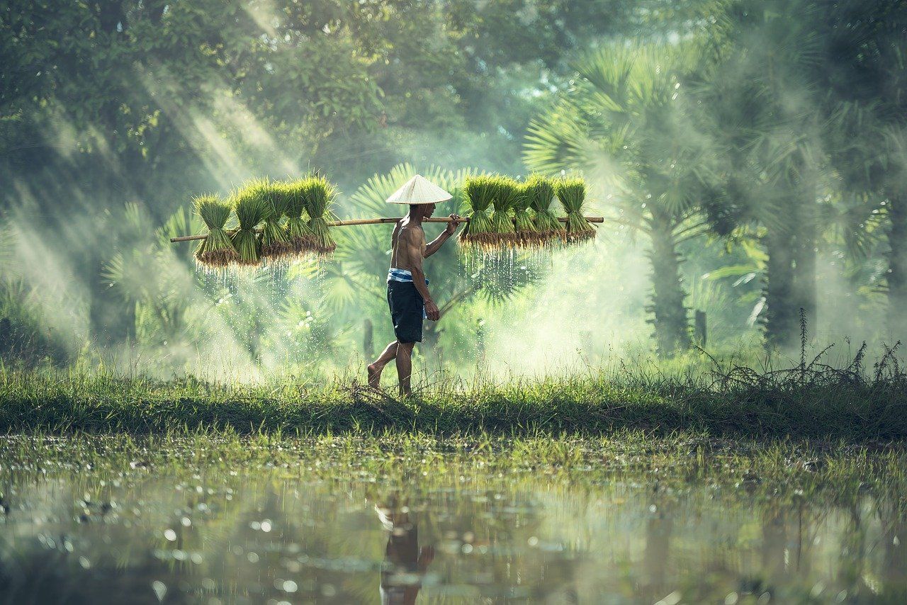 Detail Gambar Orang Petani Nomer 2