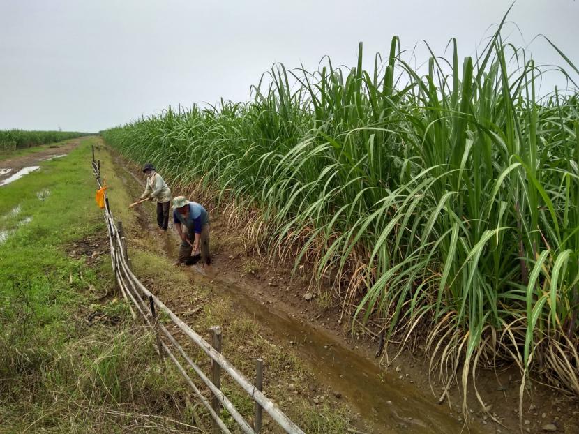 Detail Gambar Orang Petani Nomer 49