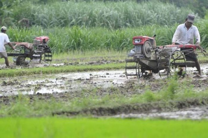 Detail Gambar Orang Petani Nomer 8