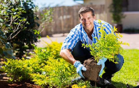 Detail Gambar Orang Sedang Berkebun Nomer 13