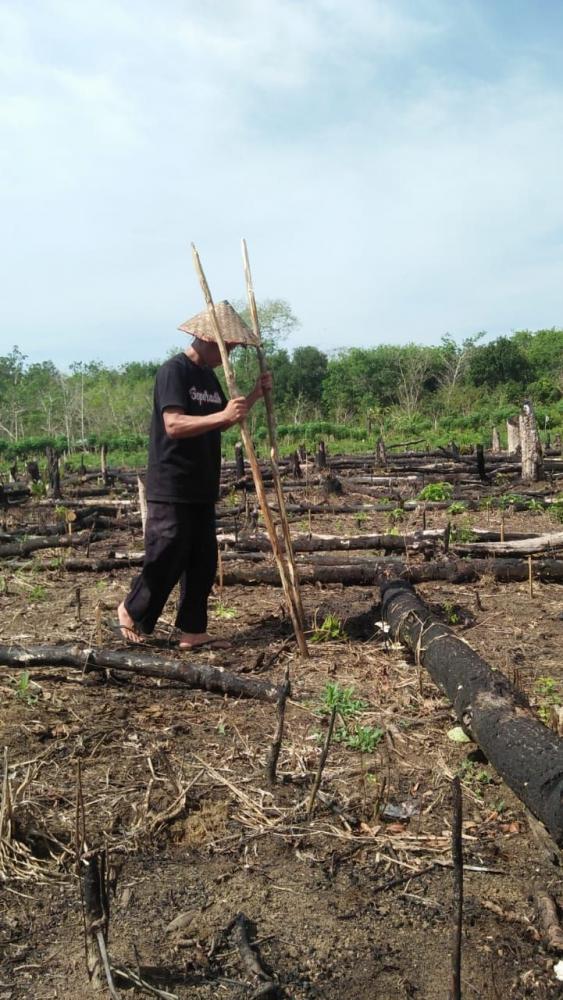 Detail Gambar Orang Sedang Berkebun Nomer 32