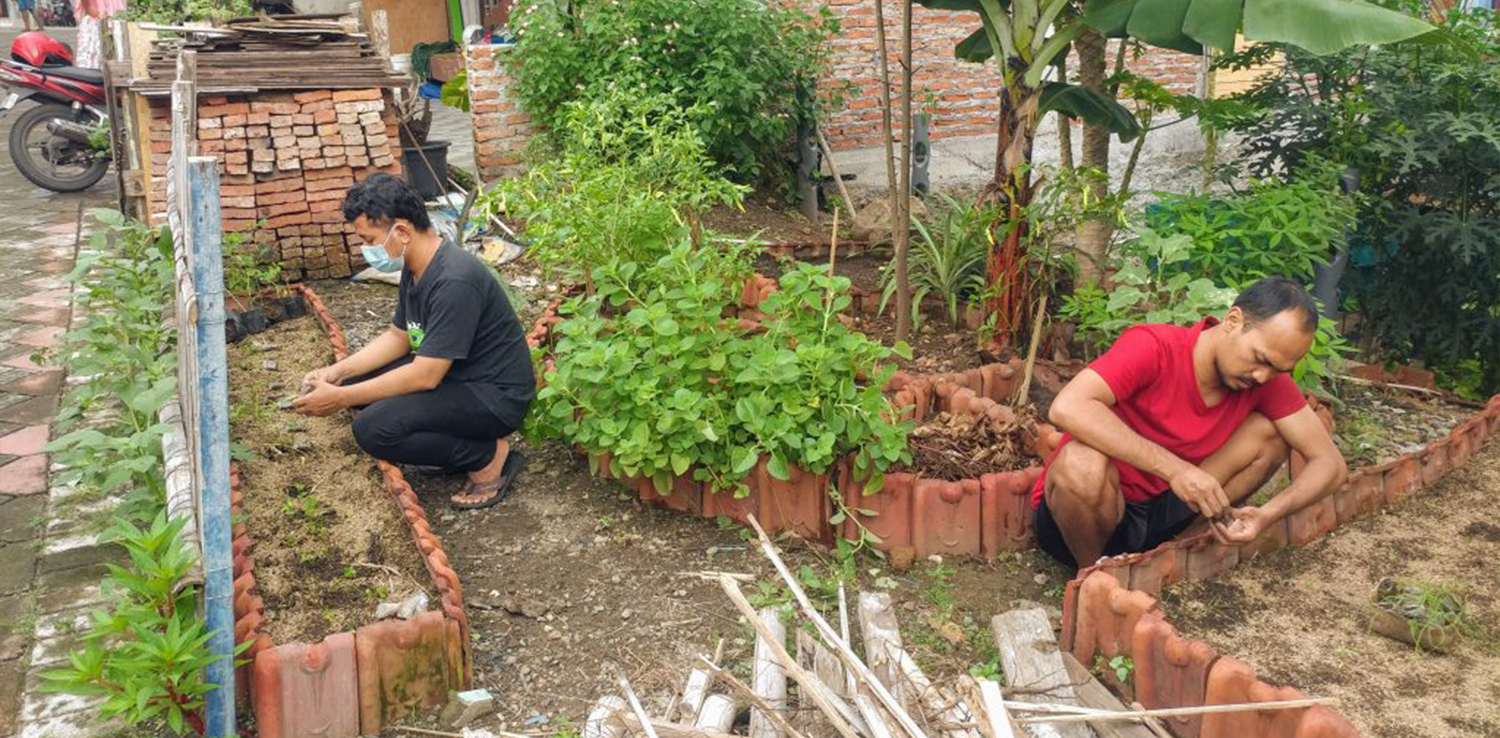 Detail Gambar Orang Sedang Berkebun Nomer 34