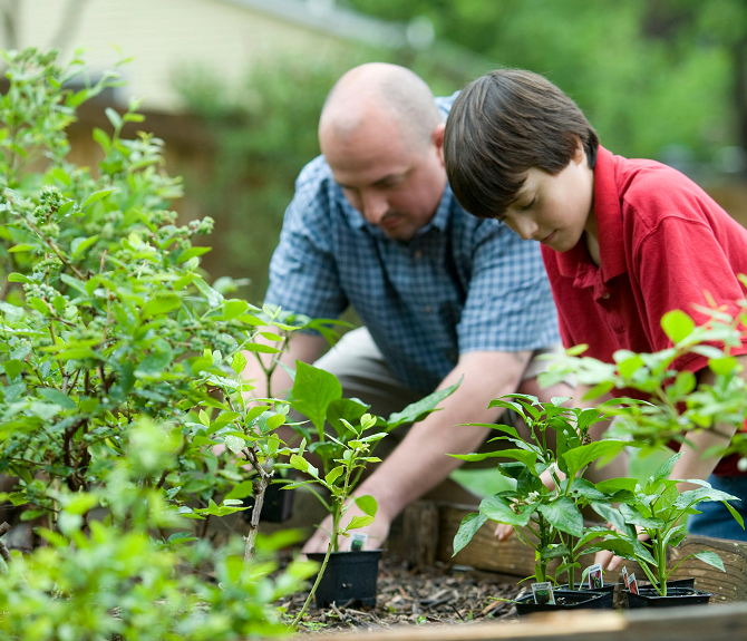 Detail Gambar Orang Sedang Berkebun Nomer 35