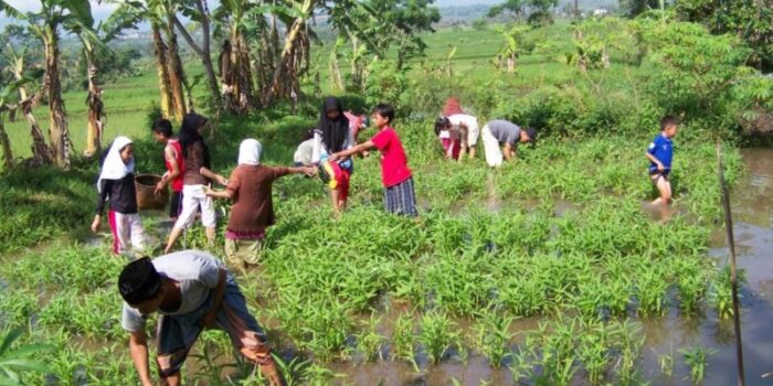 Detail Gambar Orang Sedang Berkebun Nomer 53